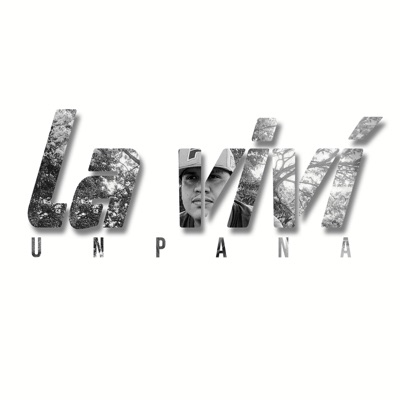 La Viví - Single