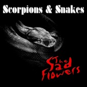 Scorpions & Snakes artwork