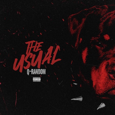 The Usual - Single