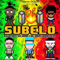 Subelo - Single - Real Haitian, VierjahMan, Bombo Crespo & Aire Urbano