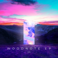 Album cover for Wisp by Drake Stafford