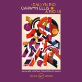 Ynys Aur (Instrumental) [with BBC National Orchestra Of Wales] artwork