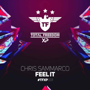 Feel It (Ray Rosh Remix)