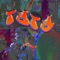 Tutu - Saint G lyrics