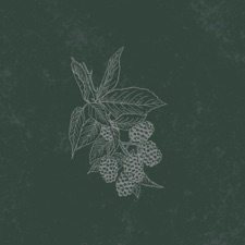 Canon Tyler - Let Me Down Easy