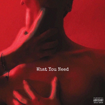 What You Need - Single