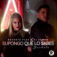 Supongo Que Lo Sabes — DJ Ramon & Bachata Plus