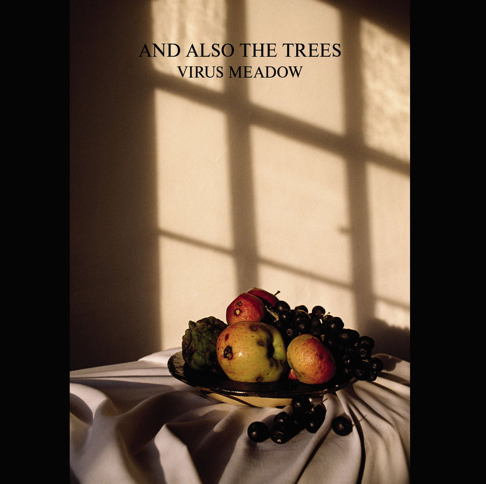 洋楽 AND ALSO THE TREES AND ALSO THE TREES - 1980 - 2005 - Amazon.com Music