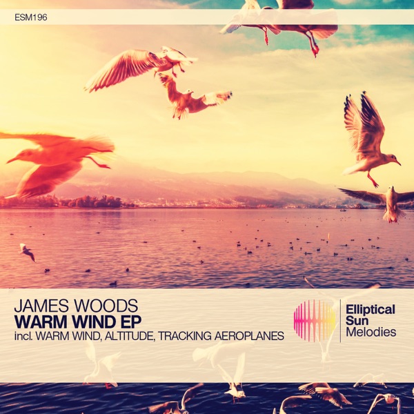 Warm Wind - Single