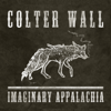 The Devil Wears a Suit and Tie - Colter Wall