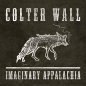 Colter Wall - The Devil Wears a Suit and Tie