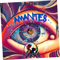 Amantes - Single - Naikris