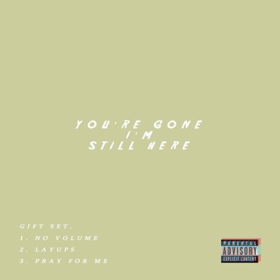 You're Gone I'm Still Here - Single