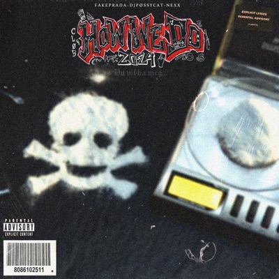 Du Vil Ha Meg (How We Do) - Single