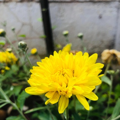 Rendezvous(Come Thru) - Single