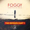 Come Into My Dream (Jay Frog Remix Edit)