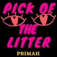 Pick of the Litter (Radio Edit) - Single - Primah