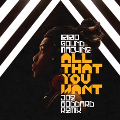 All That You Want (Joe Goddard Remix) - Single