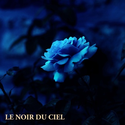 Le noir du ciel - Single