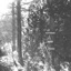 Penance - Single