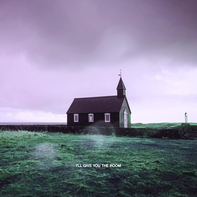 I'll Give You the Room - Single