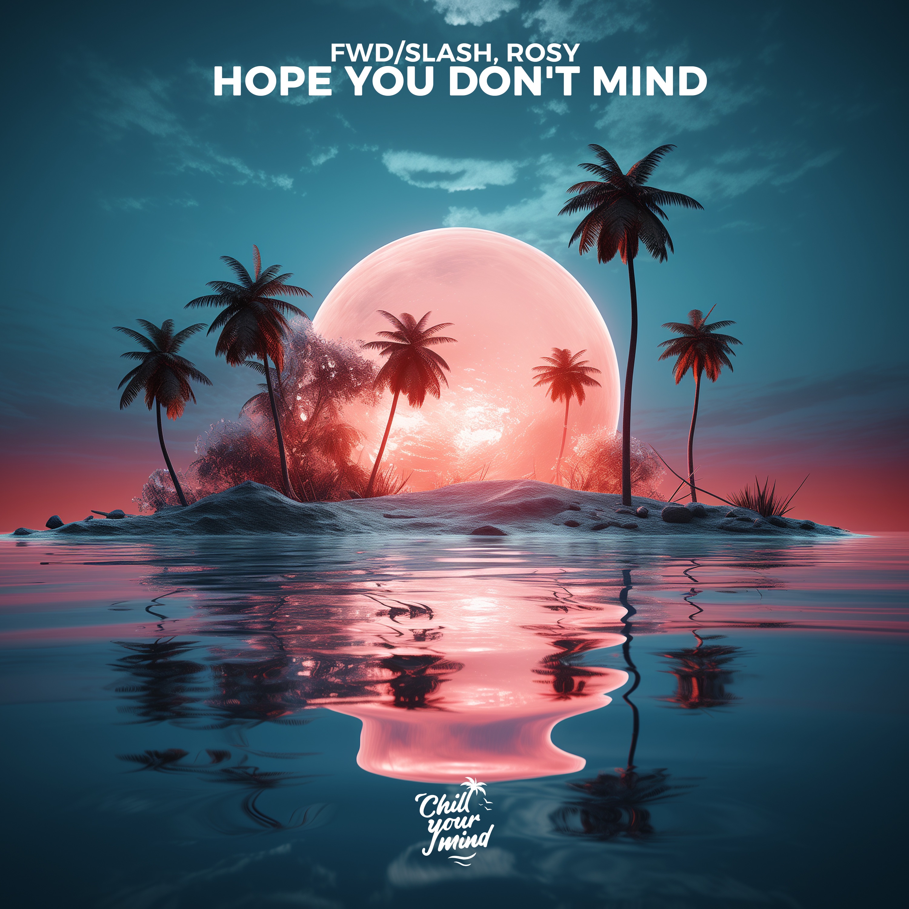 Hope You Don't Mind - Single