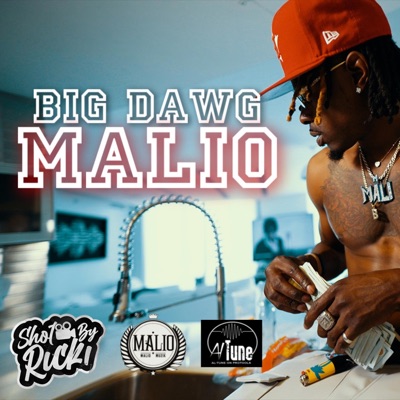 Big Dawg - Single