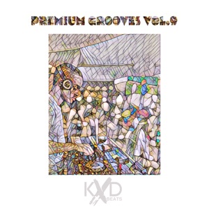 Premium Grooves, Vol. 9 (DJ Mix)