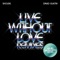 Live Without Love (Armin van Buuren Remix Edit) - Shouse & David Guetta lyrics