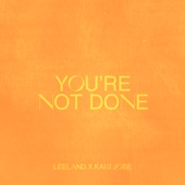 You're Not Done (Radio Version) artwork