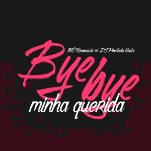 Bye Bye Minha Querida (feat. DJ Paulinho Unico)