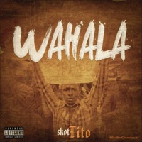 Wahala - Single - Skottito