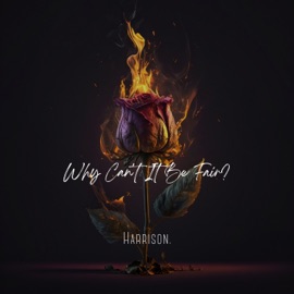 Why Can't It Be Fair? Harrison.