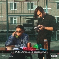 Грамотный болван - МКС 716