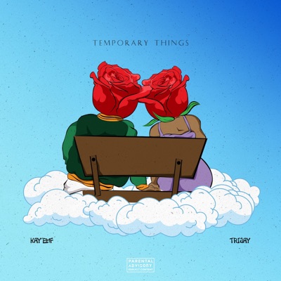 Temporary Things - Single