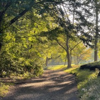 Don't Run Back - Single - xo purp & stardante