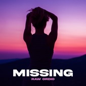 Missing (REMIX) artwork