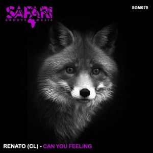 Can You Feeling - Single