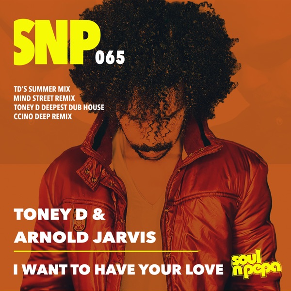 I Want to Have Your Love - EP