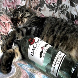 Drank polo