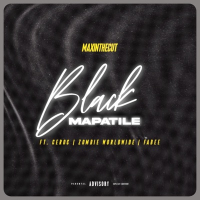 Black Mapatile (feat. Ceroc, Zombie World wide & Fabee) - Single