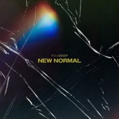 New Normal (Chillstep) artwork