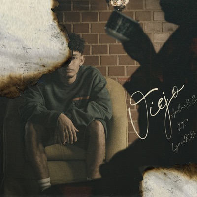 Viejo (feat. lyricko) - Single