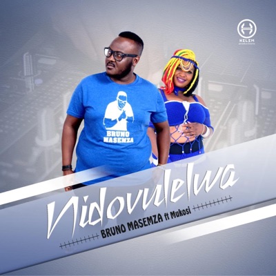 Nidovulelwa - Single