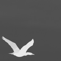 Nightrider - Single - Andy Slate