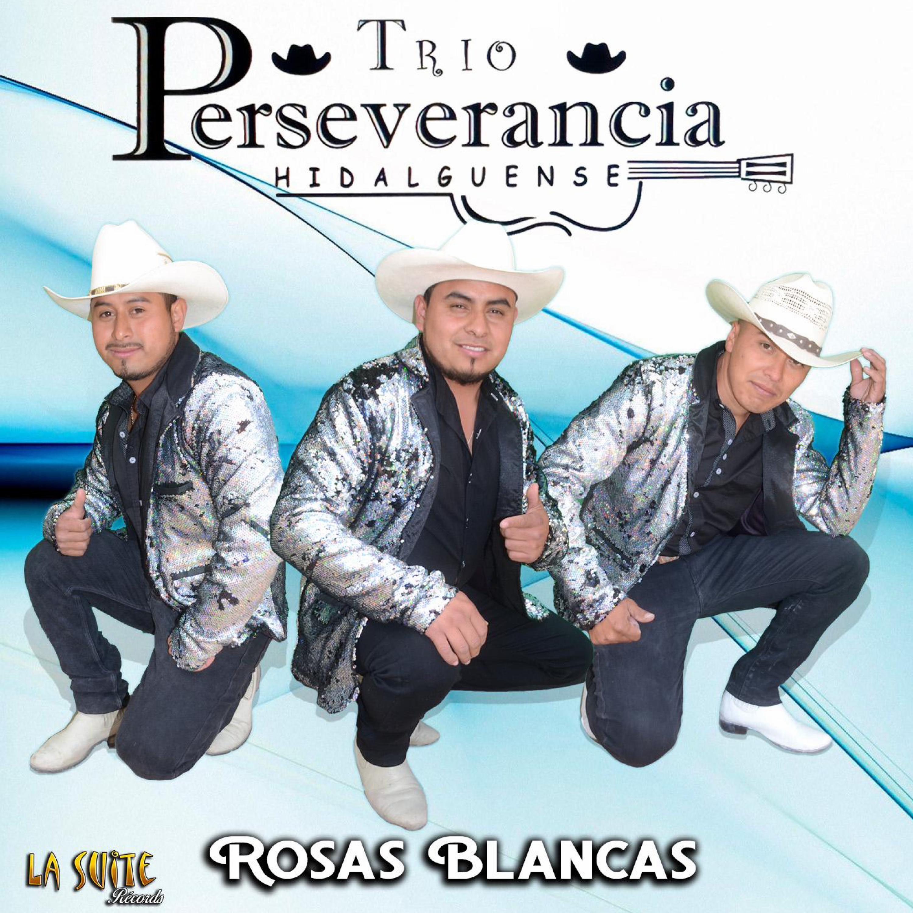 Rosas Blancas (Perseverancia Hidalguense) - EP