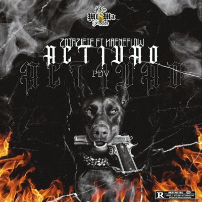 Activao (feat. Kaeneflow) - Single
