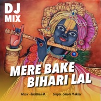 Mere Bake Bihari Lal (DJ Mix) - Single - Saloni Thakkar