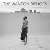 THE WANTON BISHOPS - Don't You Touch The Radio;?>