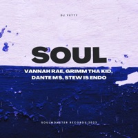 Soul (feat. Vannah Rae, Grimm Tha Kid, Dante M'$ & Stew Is Endo) - Single - Dj Yetty